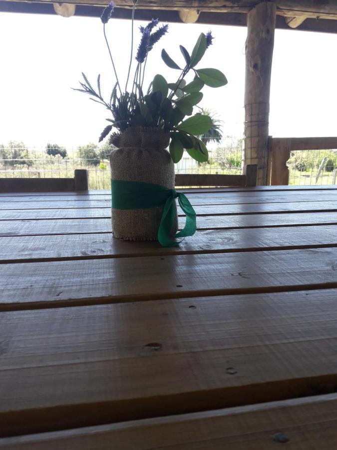 GarzonLa Casita别墅 外观 照片
